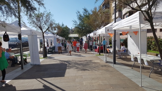 Fundación Izan; Hondarribia Elkarlanean; Proyecto Hombre; Norbera